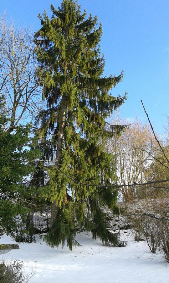 Au Grand Sapin